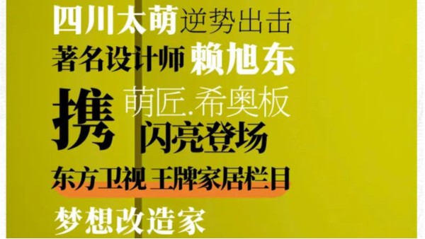 太萌墻匠｜｜夢想改造家賴旭東